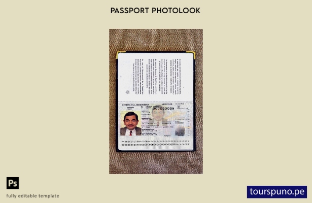 Listo para imprimir la plantilla de aspecto fotográfico actual del pasaporte arg